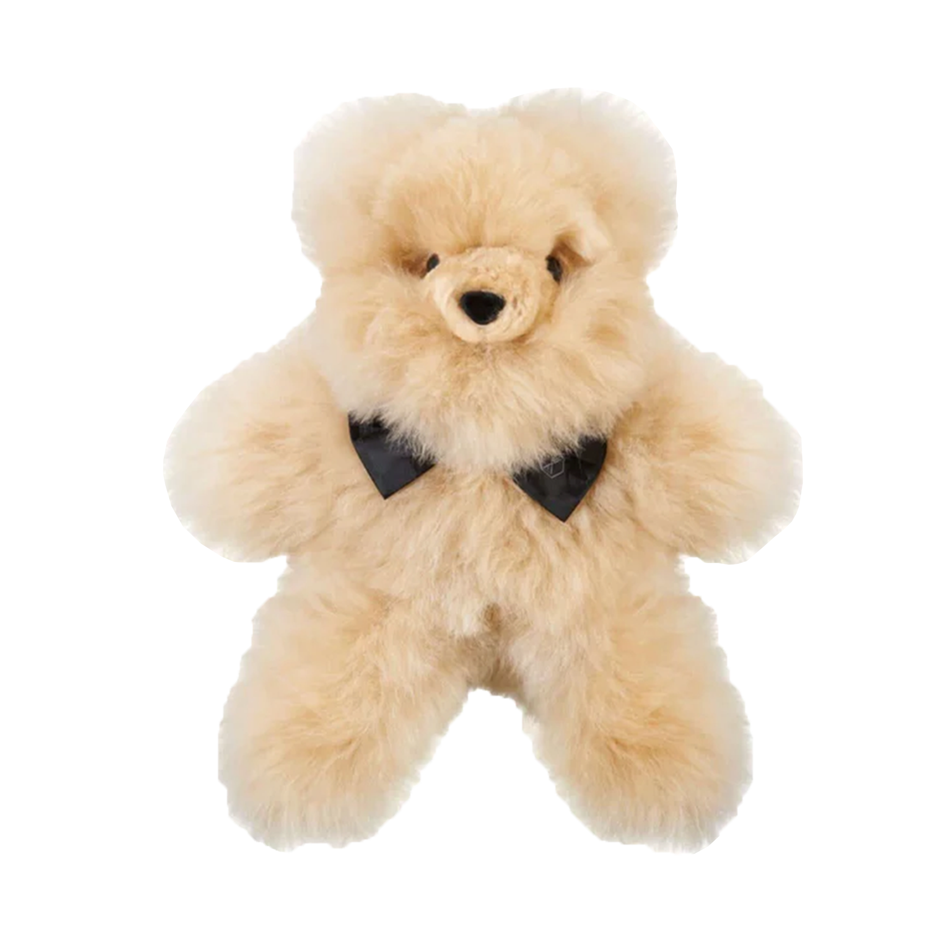 Teddy PELU M | Champagne