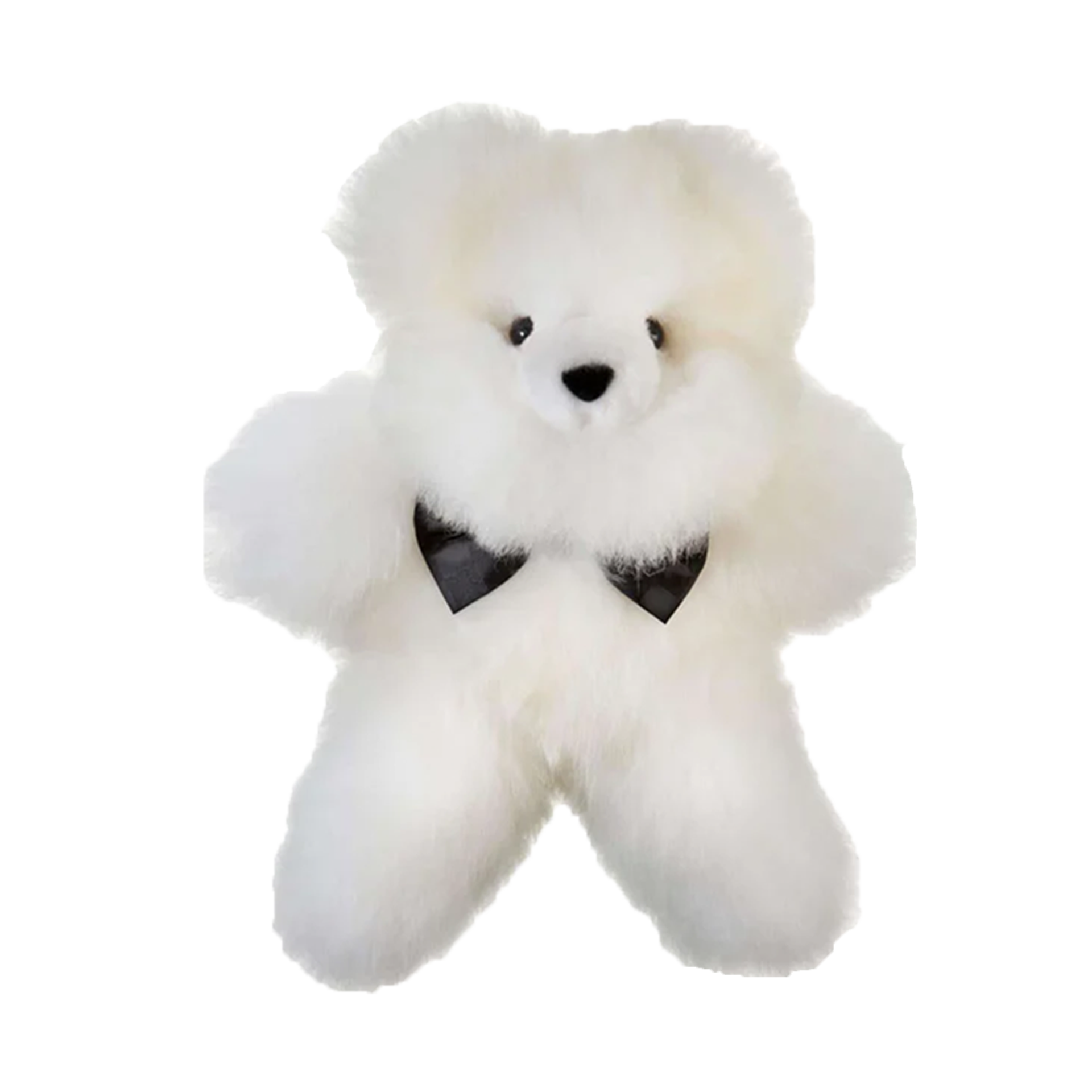 Teddy PELU M | Pearl White